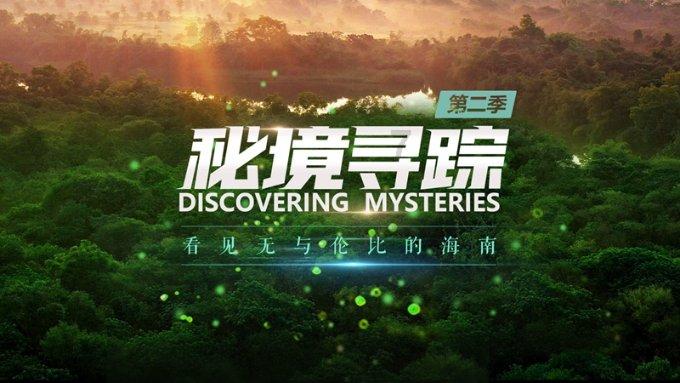 中银新能源产业面临清盘危机,2023年中银基金已清盘14只基金