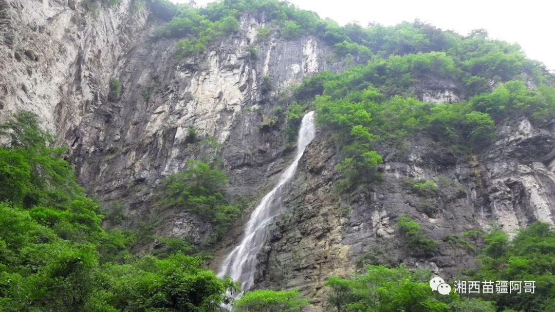【两会·前瞻】张应会代表:建议加强基层医务人员中医实用技术培训